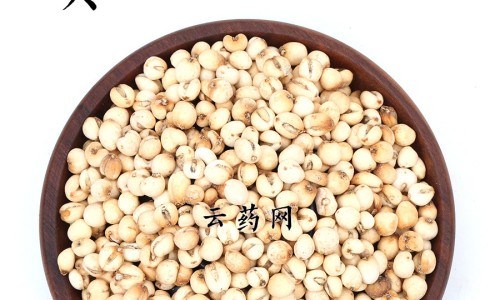 功效类似冬虫夏草网 - 网站提供功效类似冬虫夏草的药材小常识、和冬虫夏草长得很像的一种东西